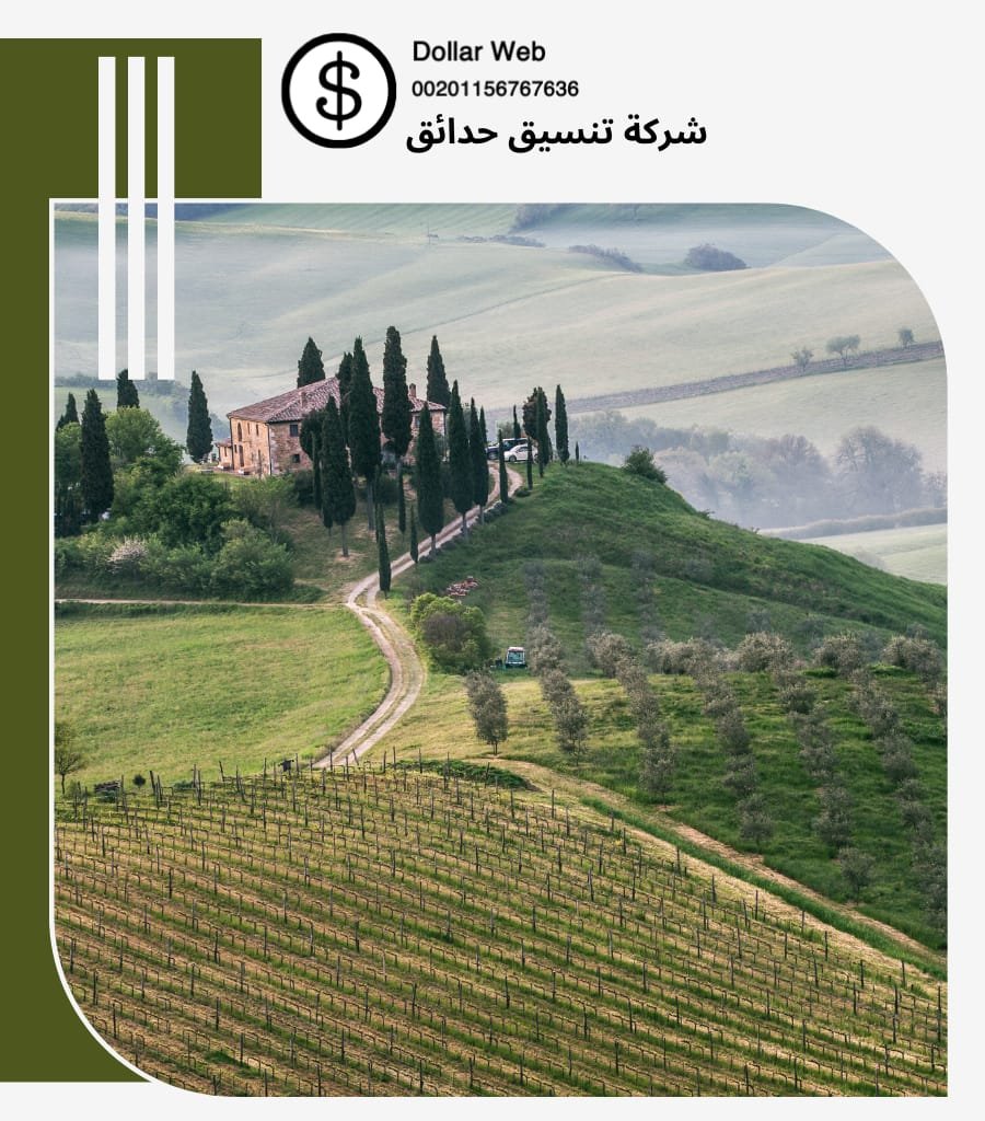 تنسيق حدائق الرقه