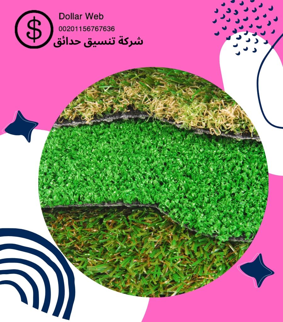 تنسيق حدائق السالمية الكويت