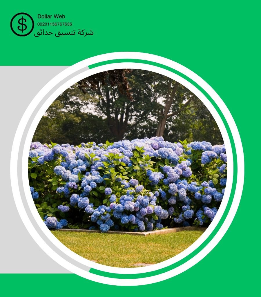 تنسيق الحدائق بدسمان الكويت