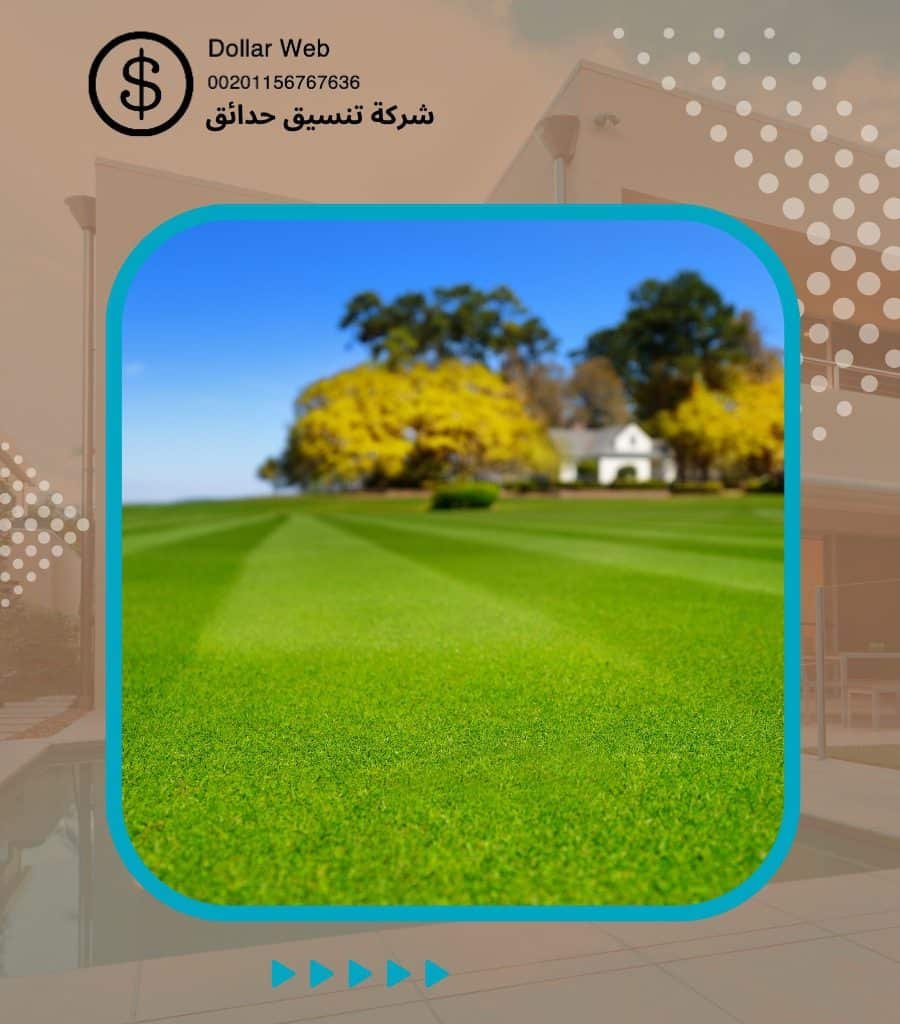 تنسيق حدائق الشعب بالكويت